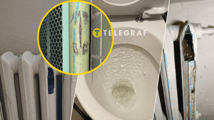 Наслідки морозу