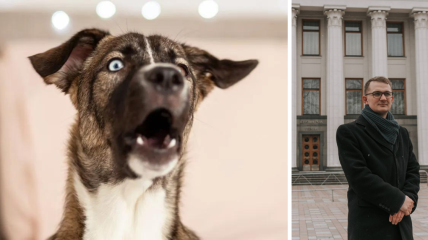 Брагар советовал пенсионерке продать собаку для оплаты коммуналки