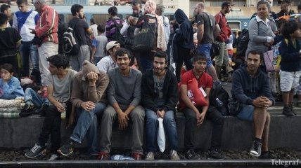 Венгрия призвала австрийцев не перевозить беженцев через границу