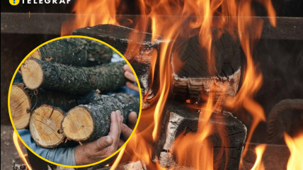Опалення дровами є одним з найрозповсюдженіших видів обігріву