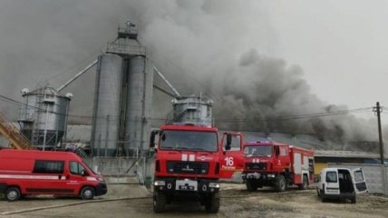 В Ивано-Франковской области горел свинокомплекс 