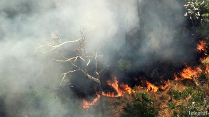 Трамп отреагировал на пожары в Амазонии