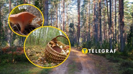 Говорушка перевернутая