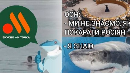 У мережі обговорюють, як акула з’їла росіянина у Єгипті