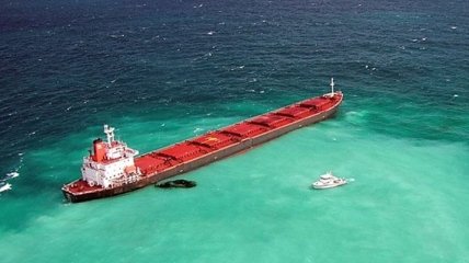 Китайская компания выплатит Австралии $30 млн за порчу Большого барьерного рифа