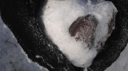 Ученые обнаружили замороженные метеориты в Антарктике