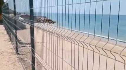 Отец российской певицы Алсу захватил себе часть пляжа под Севастополем: люди возмущены (видео)