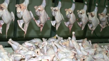 В Украину прибыла миссия ЕС по контролю производства мяса