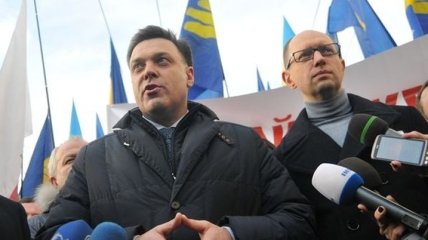 Тягнибок: Решение по Киеву не лежит в правовой плоскости 