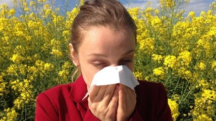 Аллергический насморк и симптомы простуды: основные отличия