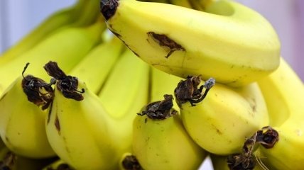 Ученые рассказали, кому вредно есть бананы