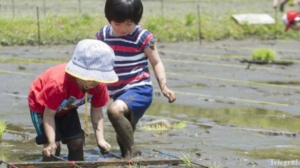 Япония бьет рекорды по количеству детских самоубийств