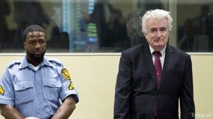 Караджич требует пересмотреть судебное решение