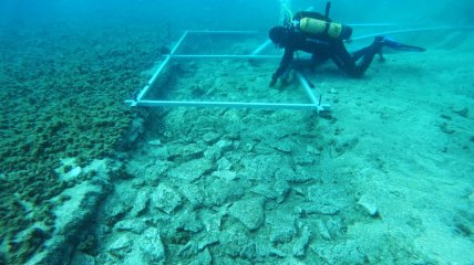 "Підводне шосе стародавнього світу": у Хорватії під водою виявлено дорогу, якій 7 тисяч років (відео)