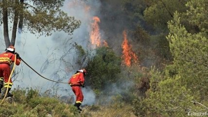  В Болгарии возник четвертый лесной пожар за последние недели