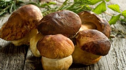 Первая помощь при отравлении грибами