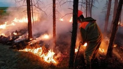 Пожары в лесах Сибири заметно сократились