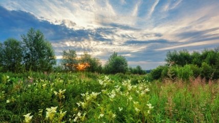 10 июня. Приметы дня