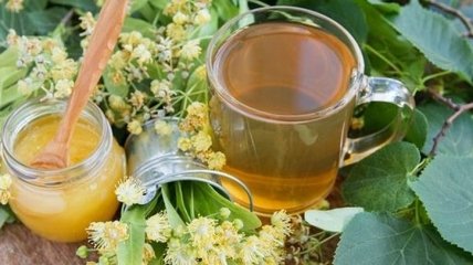 Гипоксии как и не было: целебные свойства липового чая