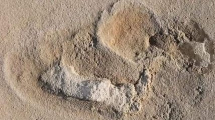 Ученые обнаружили следы доисторического человека