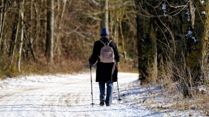 Взимку можна також насолоджуватися прогулянками
