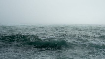 Океан стал по-настоящему тихим: благодаря пандемии удастся "послушать" звуки морских глубин