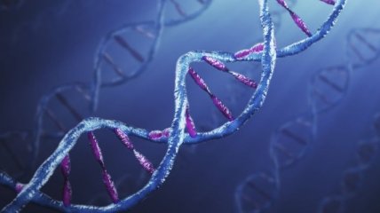 ДНК позволит хранить громадные объемы информации