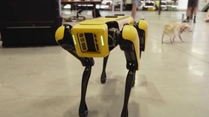 Ford "нанял" двух роботов Boston Dynamics для создания карт собственных заводов 