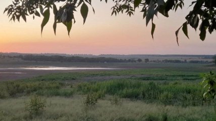 Пересохшее Волынцевское водохранилище летом 2025 года