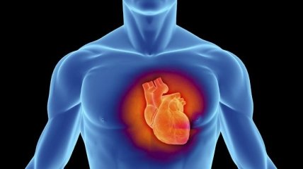 Виртуальный видеотур по бьющемуся сердцу (Видео)