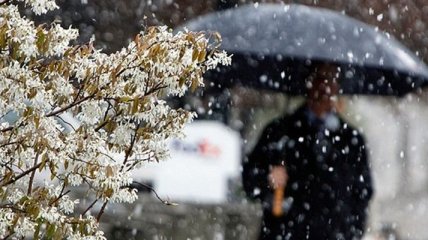 Прогноз погоды в Украине на 4 декабря: преимущественно дожди  с мокрым снегом
