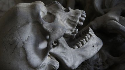 Найдены первые следы "европейских" Homo sapiens (Фото)