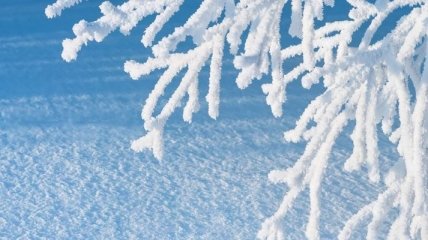 Прогноз погоды в Украине на сегодня: снег пройдет на юге страны