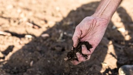 Аграрії зазнали понад 6,5 млрд грн збитків через посуху на Одещині