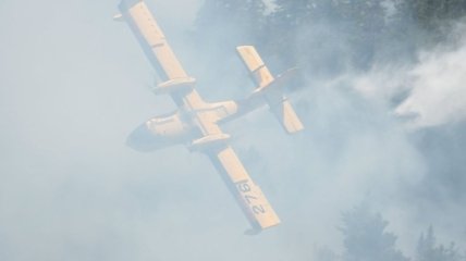 В Канаде не утихают лесные пожары: США и Мексика выслали пожарных на подмогу 