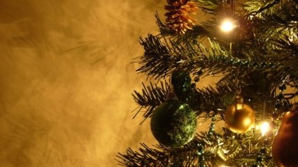 Американец уже 40 лет живет с наряженной новогодней елкой