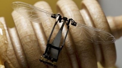 Для исследования Марса NASA выпустит роботизированных пчел