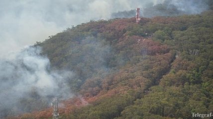 В Австралии снова могут возобновиться природные пожары