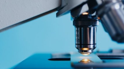 Важный шаг для биологии: создан новый микроскоп
