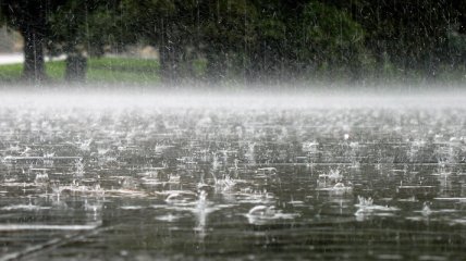Прогноз погоды в Украине на 16 июня: дожди, грозы и похолодание