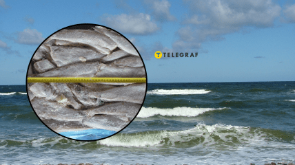 Риба Путасу