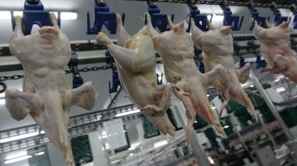 Украина попала в список мировых лидеров по экспорту мяса птицы в ЕС