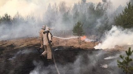 В Зоне отчуждения третий день тушат лесной пожар