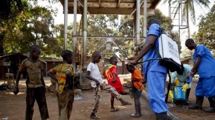 Эбола вернулась в Гвинею: впервые с 2016 года погибли люди 