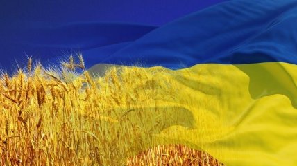 Поддержка независимости Украины выросла до 90%