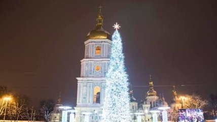 Новогоднюю елку из Украины признали самой красивой в Европе