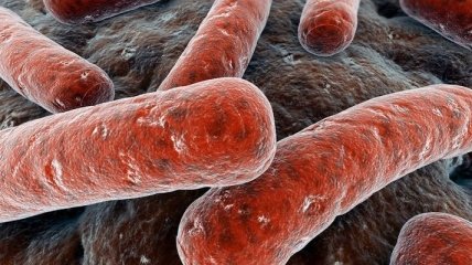 Минздрав бьет тревогу о росте числа больных туберкулезом