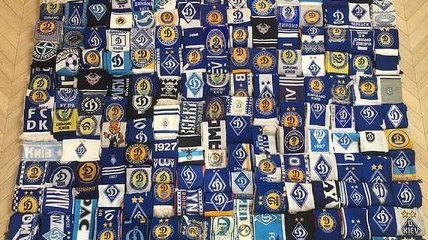 Болельщик Динамо собрал коллекцию шарфов и установил рекорд Украины 