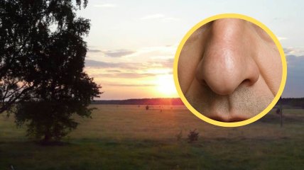 Село Ноздрище