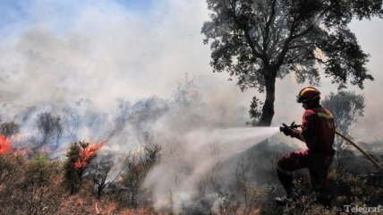В России ситуация с лесными пожарами остается аномальной
